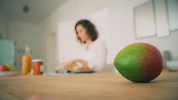 LA MANGUE, ITINÉRAIRE D'UN FRUIT GÂTÉ