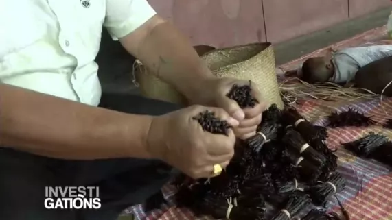 INVESTIGATIONS : MADAGASCAR L’ÎLE DE TOUS LES BUSINESS