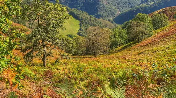 Arrière Pays Basque Arrière Pays Basque