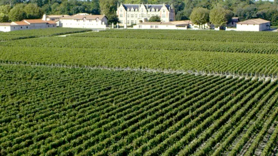 Voyage au cœur du vignoble bordelais Voyage au cœur du vignoble bordelais