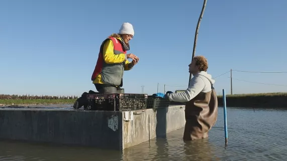 France et Adrien dans les parcs à huîtres France et Adrien dans les parcs à huîtres