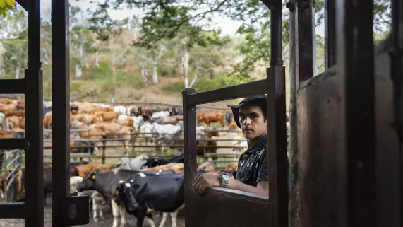 © 13 Productions - Latitude 21 Pacific • 2019 © 13 Productions - Latitude 21 Pacific • 2019