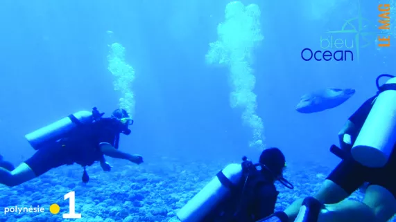 Bleu Océan - le mag n°19