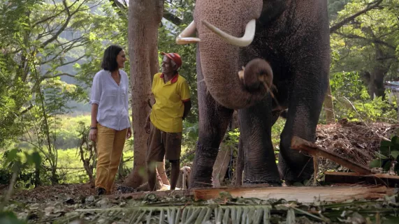 FAUT PAS RÊVER AU SRI LANKA ET EN SICILE  FAUT PAS RÊVER AU SRI LANKA ET EN SICILE