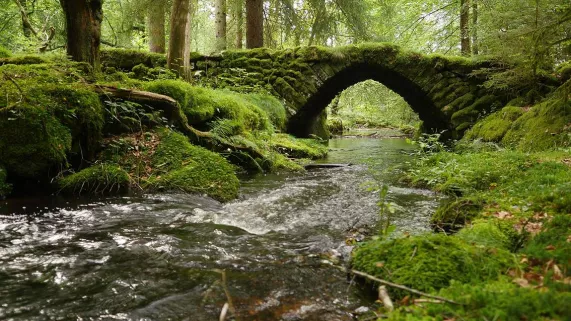 La rivière - crédit Bo Travail  La rivière - crédit Bo Travail