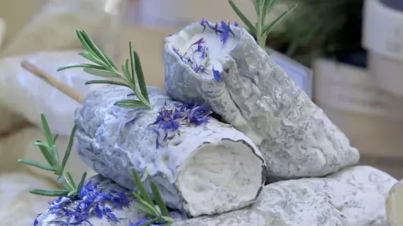 LE FROMAGE QUI NOUS REND CHÈVRE