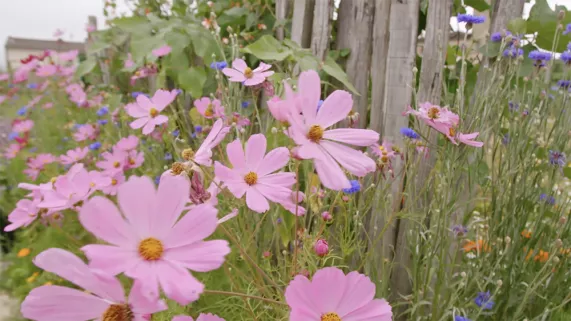 Opération Biodiversité Opération Biodiversité