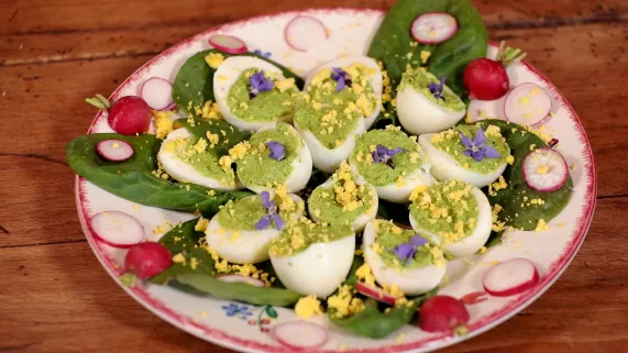 effeuillé d'oeuf au cresson  effeuillé d'oeuf au cresson