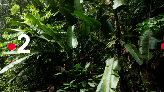 © GUYON Nathalie / FTV