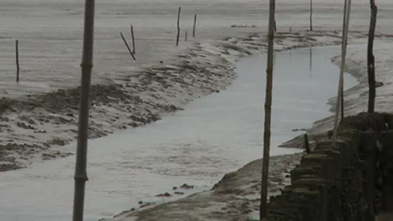 les oubliés de l'estuaire les oubliés de l'estuaire