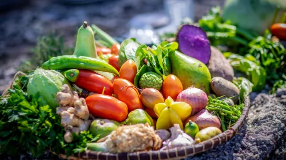 GAZON 2 RIZ- LA FINALE 