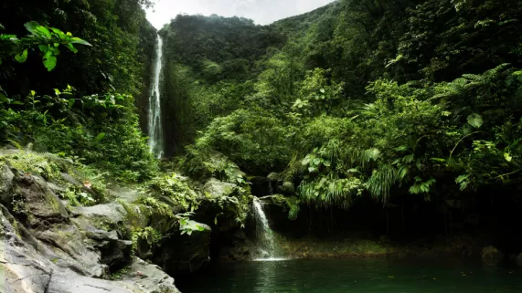 Outre-Mer © Nathalie Guyon / FTV