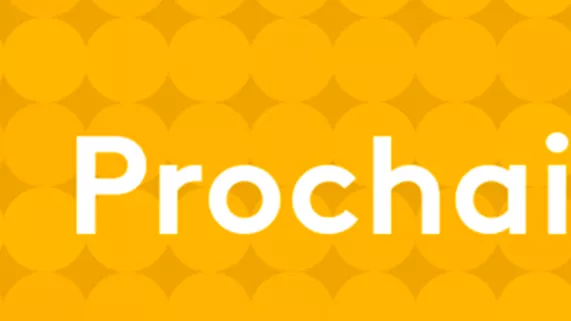 vignette •1 vignette •1