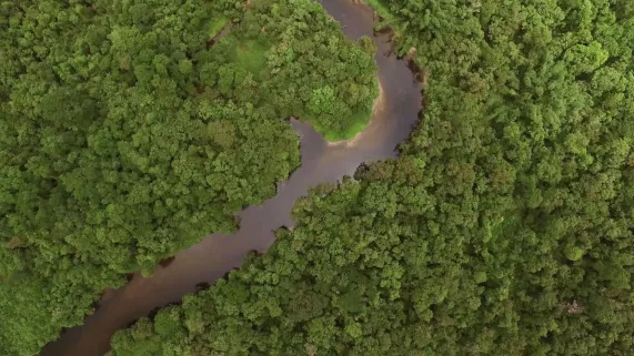 LES 3 GUYANES, LA GRANDE EVASION