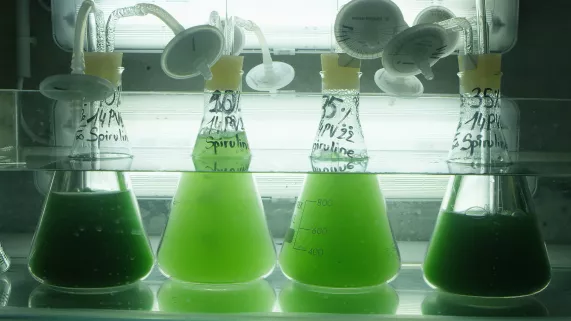 ©ekla productions les voies du caillou