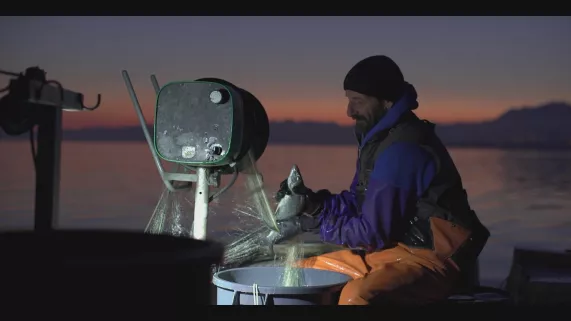 LES AGITATEURS DE GOÛT