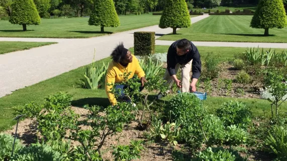 JARDIN JARDIN