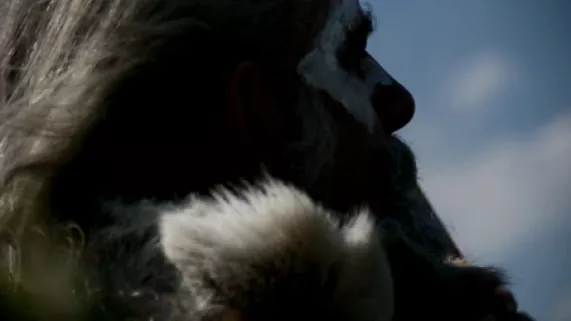 Néandertal Néandertal