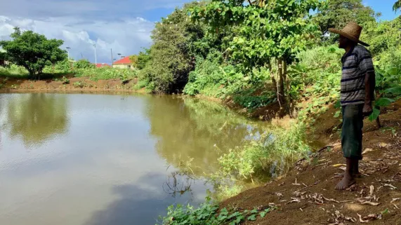 GUADELOUPE - LES SOLDATS DE LA TERRE