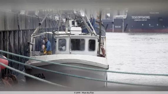 Watt the fish Watt the fish