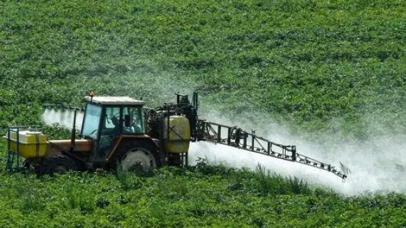 glyphosate glyphosate