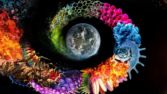 © Nutopia LTD / Protozoa Pictures / National Geographic