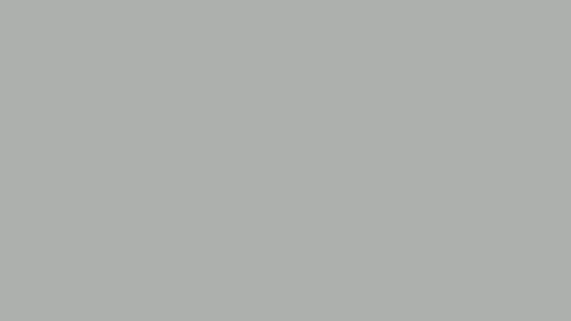 gris gris
