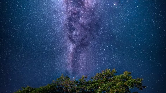 la nuit de la fiction la nuit de la fiction