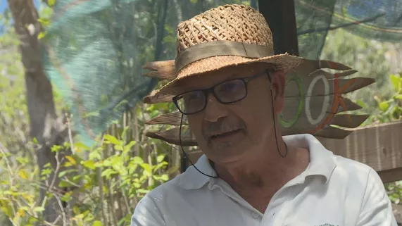 GEORGES BEAUJOUR Visuel