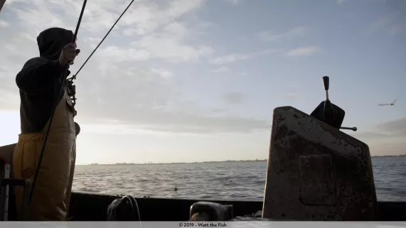 Watt the Fish Watt the Fish