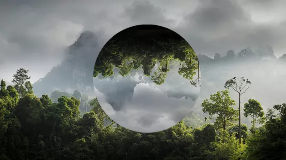 FTV s'engage pour l'environnement © DR Environnement