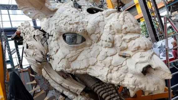 dragon calais dragon calais