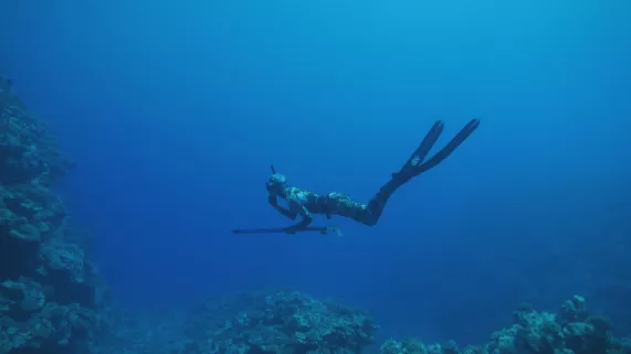 3 NUANCES DE BLEU - PACIFIQUE, UN OCÉAN NOURRICIER