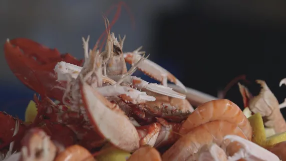 Coquillages et crustacés, la mer sur un plateau
