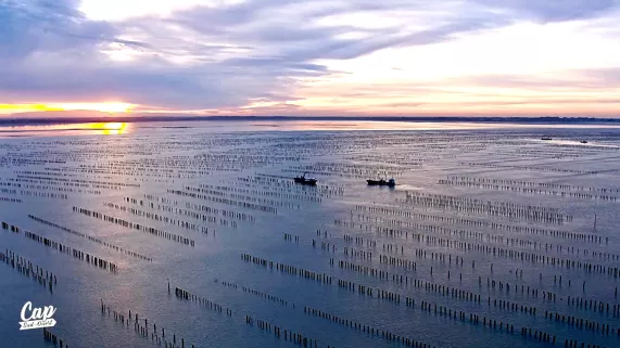 Cap Sud Ouest Cap Sud Ouest