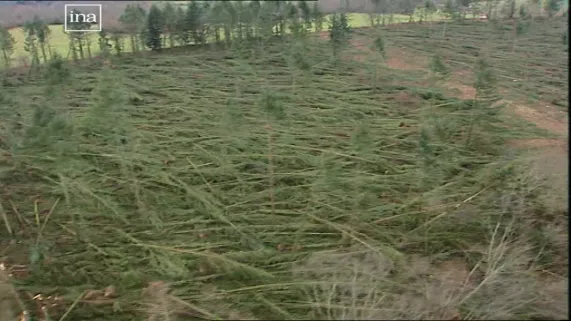 francetélévisons la tempête du siècle