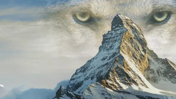 LE PLUS BEAU PAYS DU MONDE