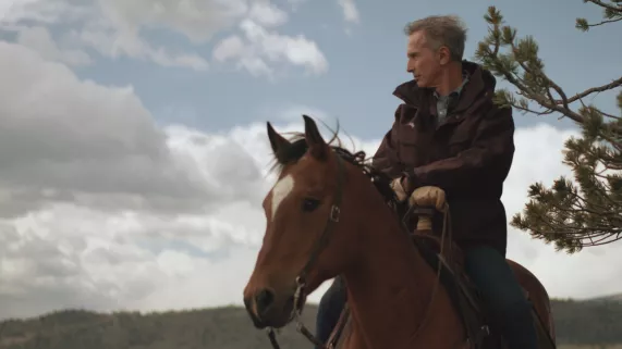 les chevaux du nouveau monde