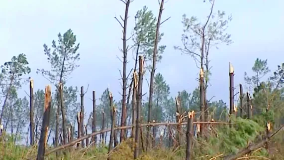 Il y a 20 ans, la tempête du siècle  Il y a 20 ans, la tempête du siècle