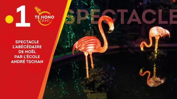 Spectacle de Noël 2019