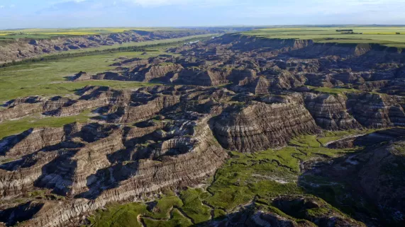 © ZED LES MONDES DISPARUS