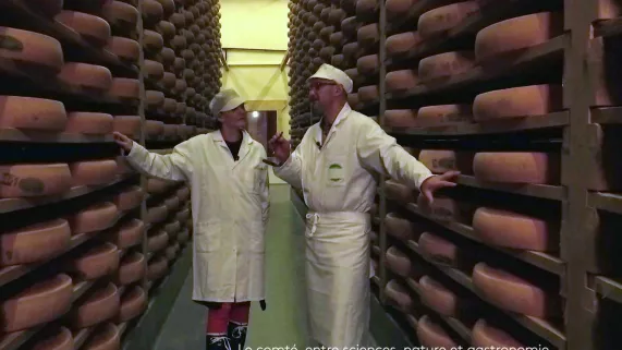 Le comté©hanami Le comté