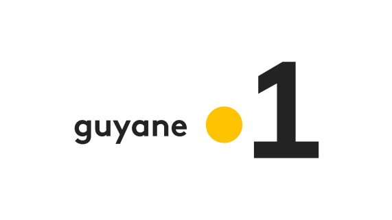 logo g1