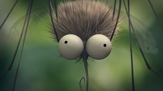 PAR L’ŒIL DES MINUSCULES - GUADELOUPE