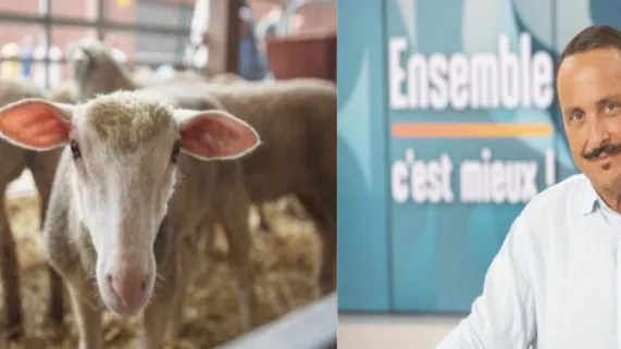 ECM AU SIA  ECM AU SIA