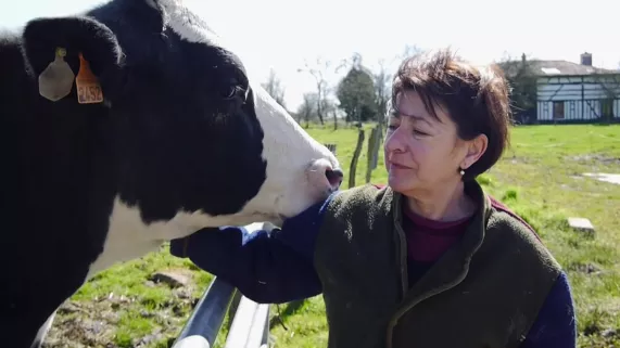 Les vaches n'auront plus de nom CREDIT Douk douk productions Les vaches n'auront plus de nom CREDIT Douk douk productions