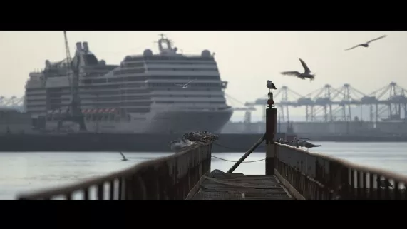 Famille de coeur Famille de coeur