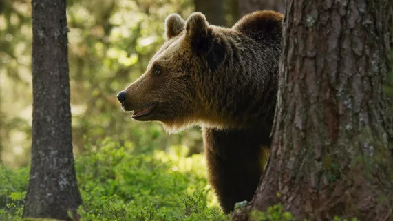 UNE PLANÈTE, DEUX MONDES SAUVAGES