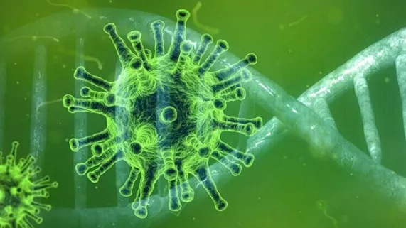 Molécule Coronavirus @pixabay Molécule Coronavirus @pixabay