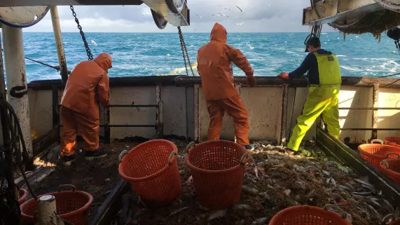 DE CHERBOURG AUX ÎLES ANGLO-NORMANDES